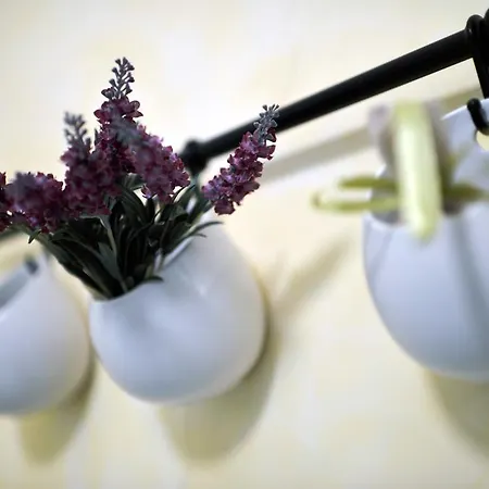 Sognava Bed & Breakfast 4*